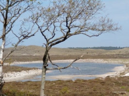 Buurtreis 2022 Schoorl Camperduin