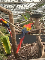 Damesreis 22-04-2026 Pantropica_3