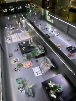 Damesreis 23-04-2025_2