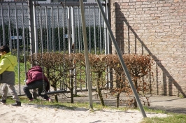 Eieren zoeken 2019_34