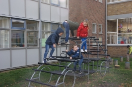 Eieren zoeken 2019_37