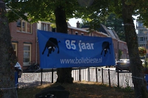 Vlag Hijsen 85 jaar BB_1