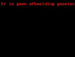 Sint Nicolaasfeest 2018_19